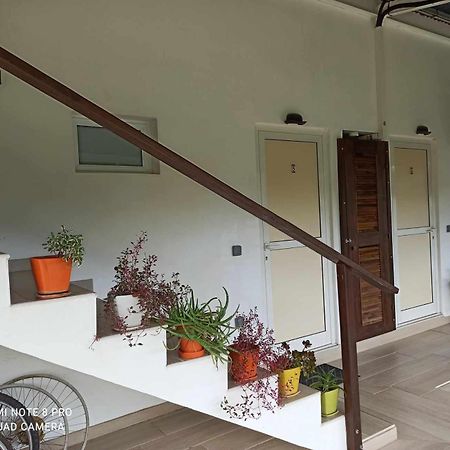 La Maison Du Voyage Tevaitoa Luaran gambar